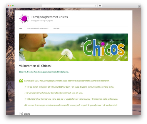 Tiny Forge best WordPress theme - chicos.nu