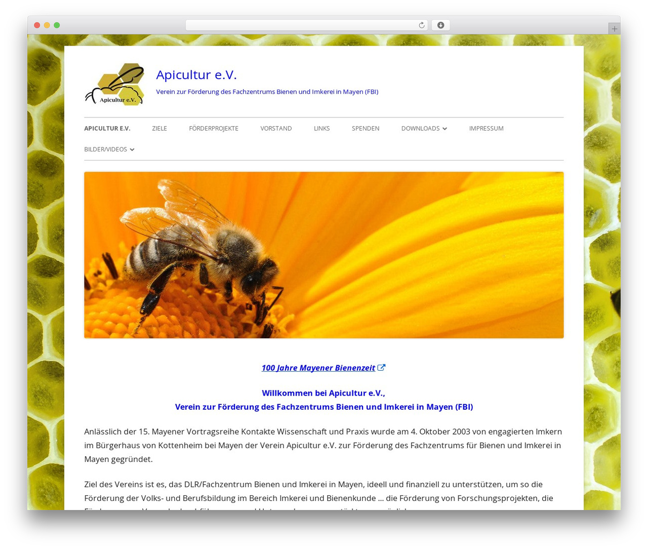 Tiny Framework free WP theme - apicultur-ev.de