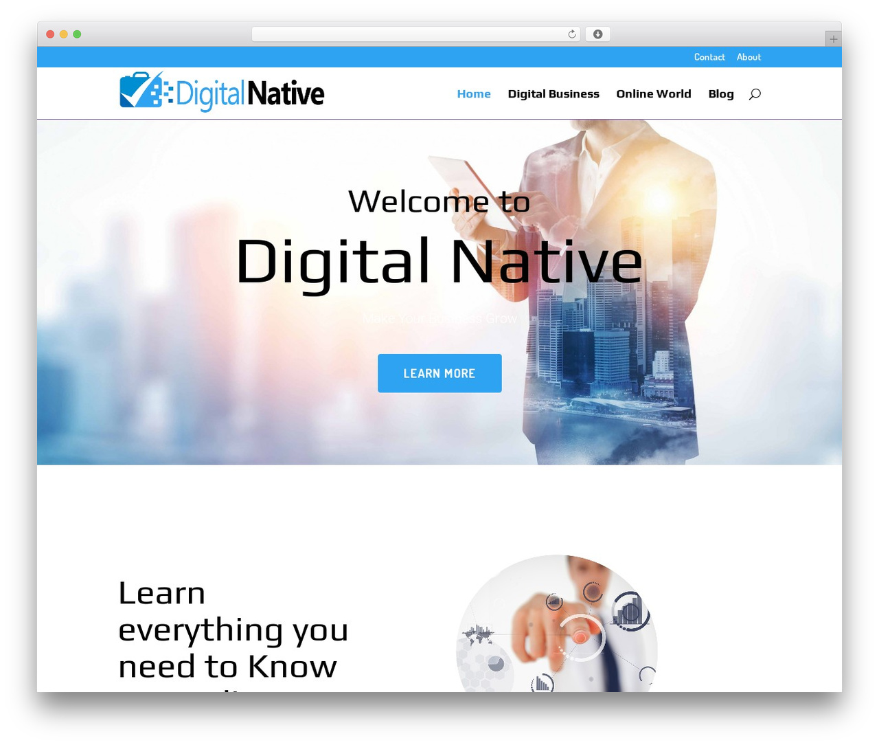 WordPress theme Divi - digitalnative.org WordPress theme Divi - digitalnative.org
