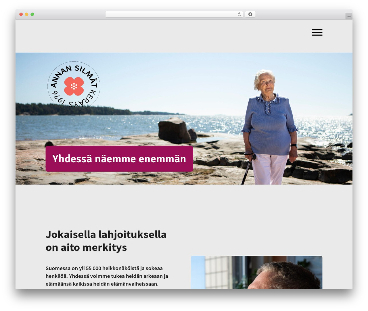 WordPress theme Into-Digital Components - annansilmat.fi