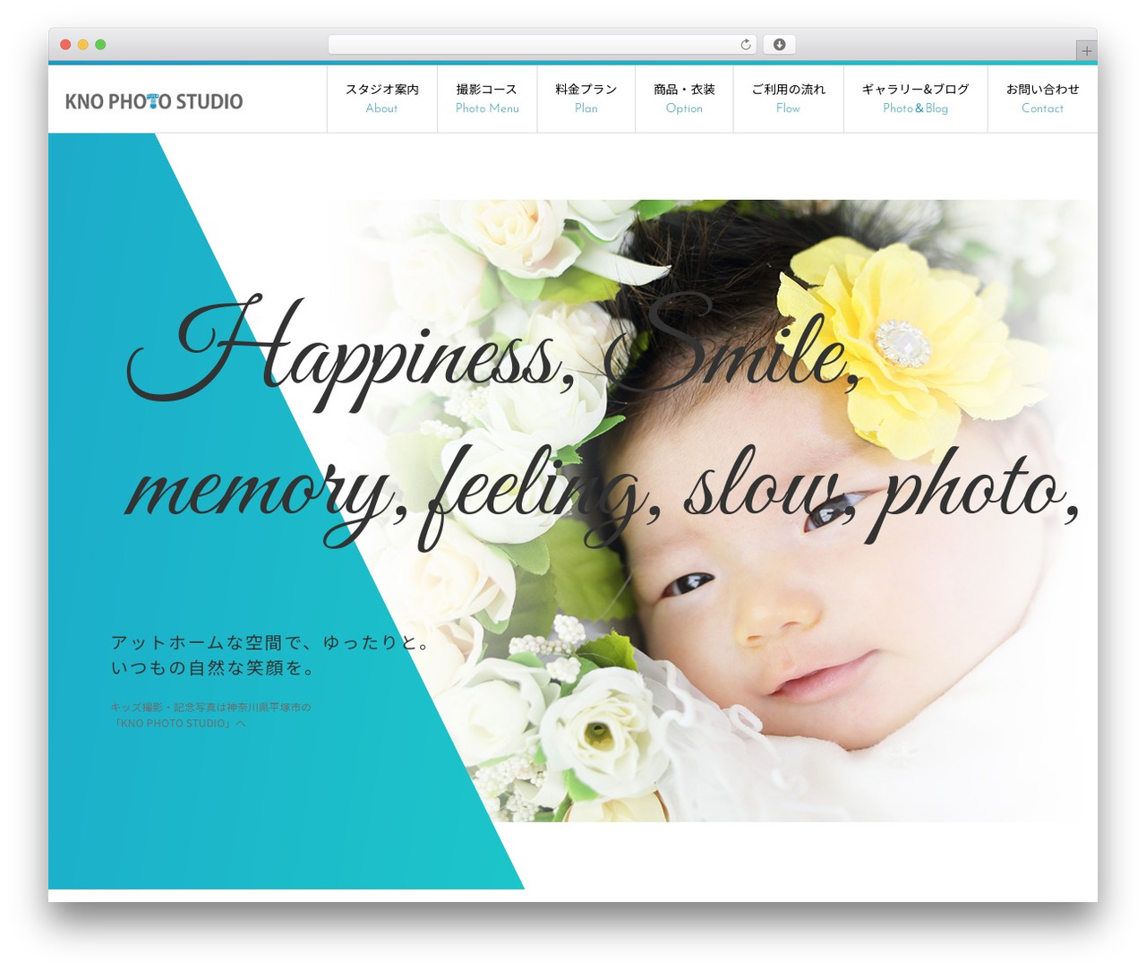 068 WordPress theme - kno-photo-studio.com