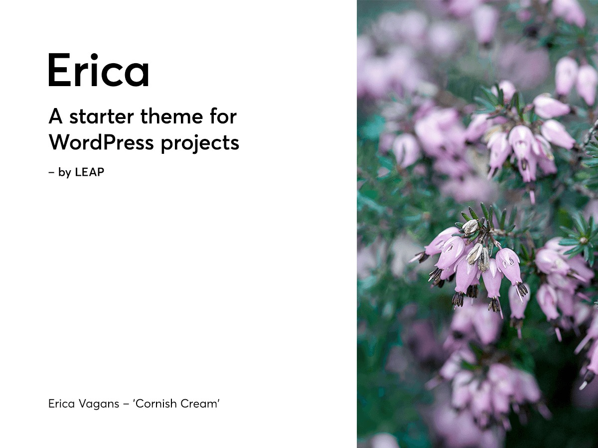 Blue Meadows Expanded theme WordPress by Leap