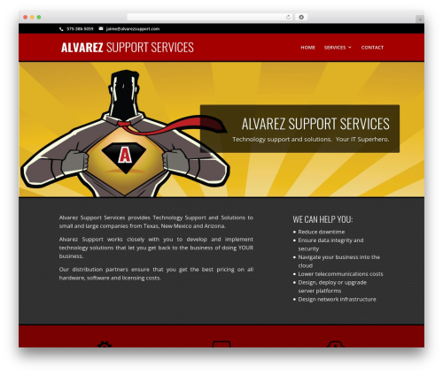 customTheme WP theme - alvarezsupport.com