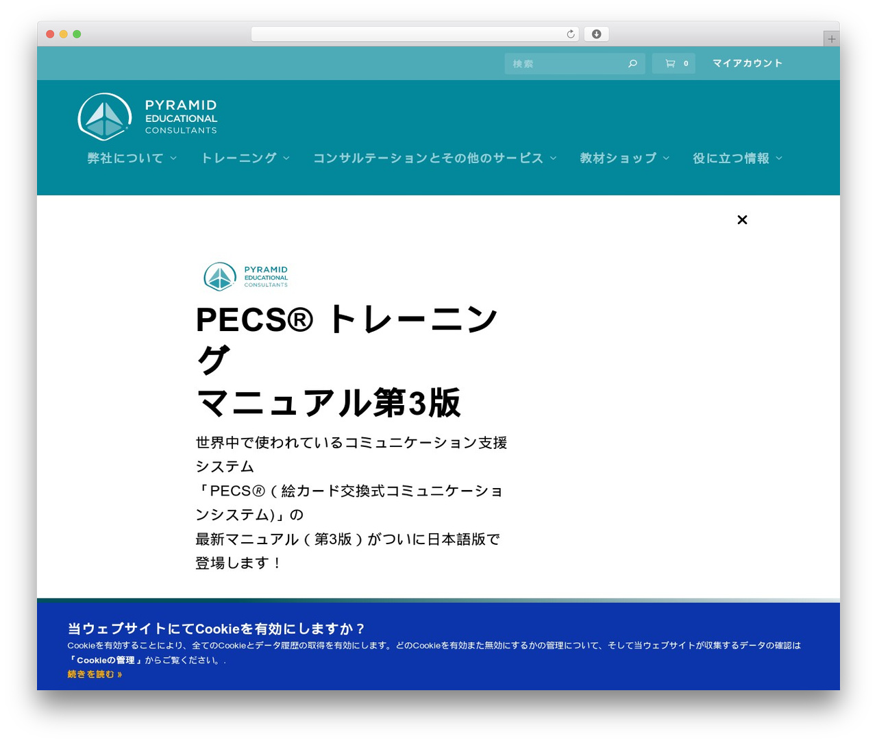 Extra Child Theme WordPress theme - pecs-japan.com Extra Child Theme WordPress theme - pecs-japan.com