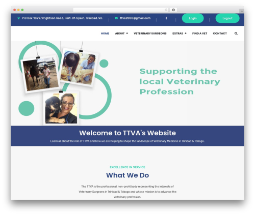 Doctors directory WordPress plugin - ttva1.org