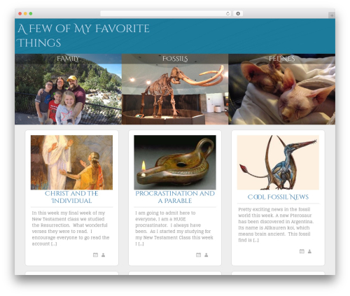 SG Window WordPress theme - rachaelfuller.com SG Window WordPress theme - rachaelfuller.com