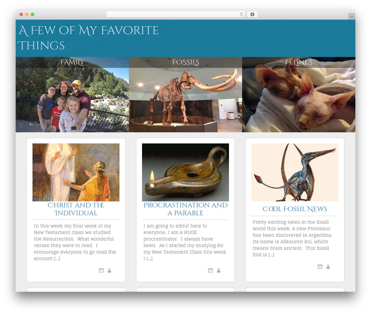 SG Window WordPress theme - rachaelfuller.com SG Window WordPress theme - rachaelfuller.com
