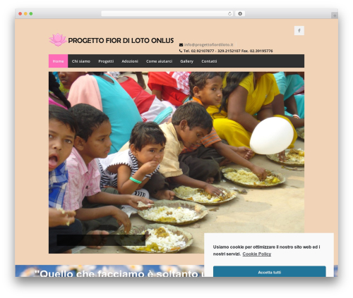Web font social icons WordPress plugin - progettofiordiloto.it