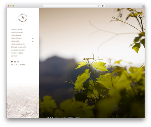 Content_timeline WordPress plugin - carreau.wine