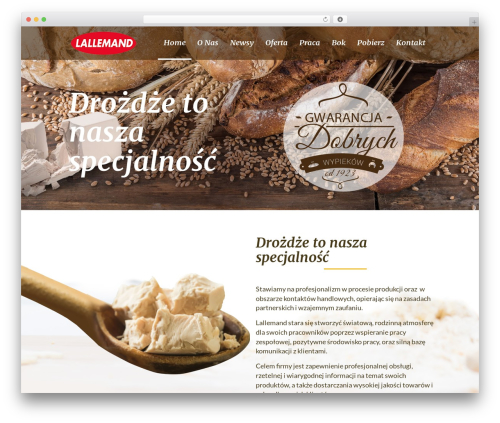 Leonardo theme WordPress - drozdze.pl