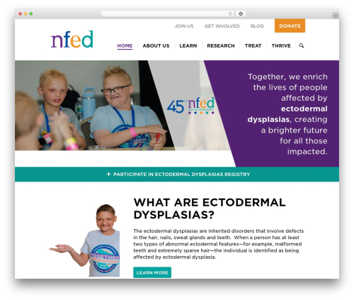 NFED WordPress theme - nfed.org