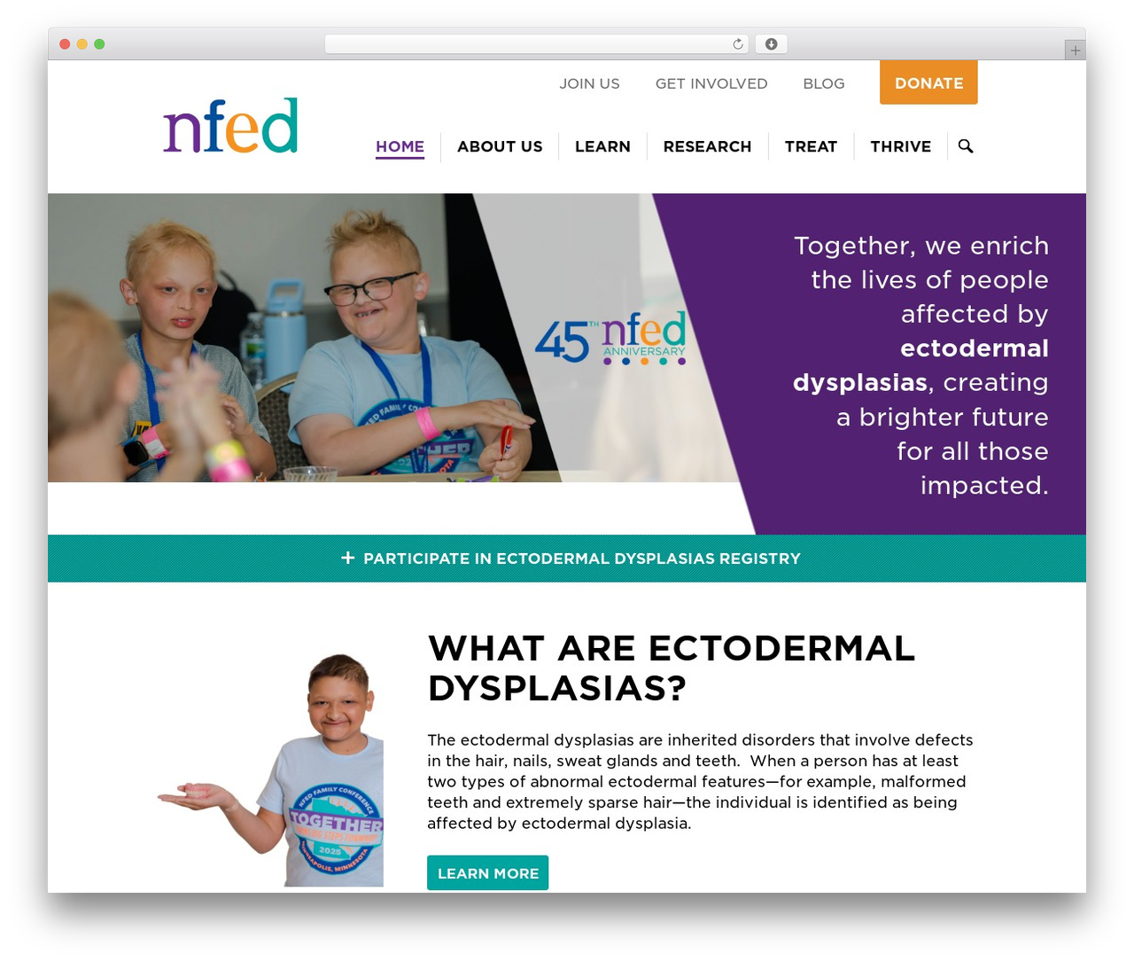 NFED WordPress theme - nfed.org NFED WordPress theme - nfed.org