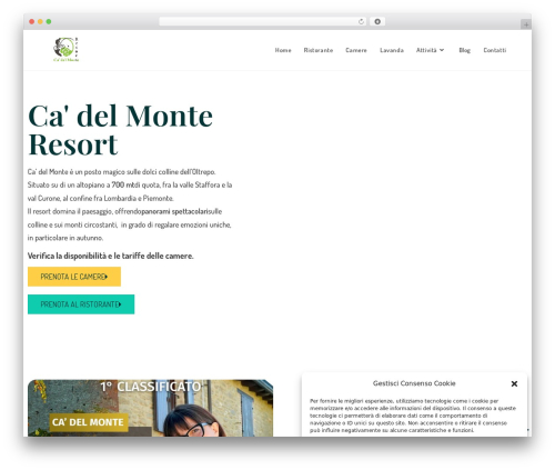 Wvt WordPress plugin - cadelmonte.com