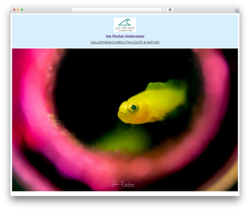 Clean Notebook WordPress theme image - joefischeruw.com