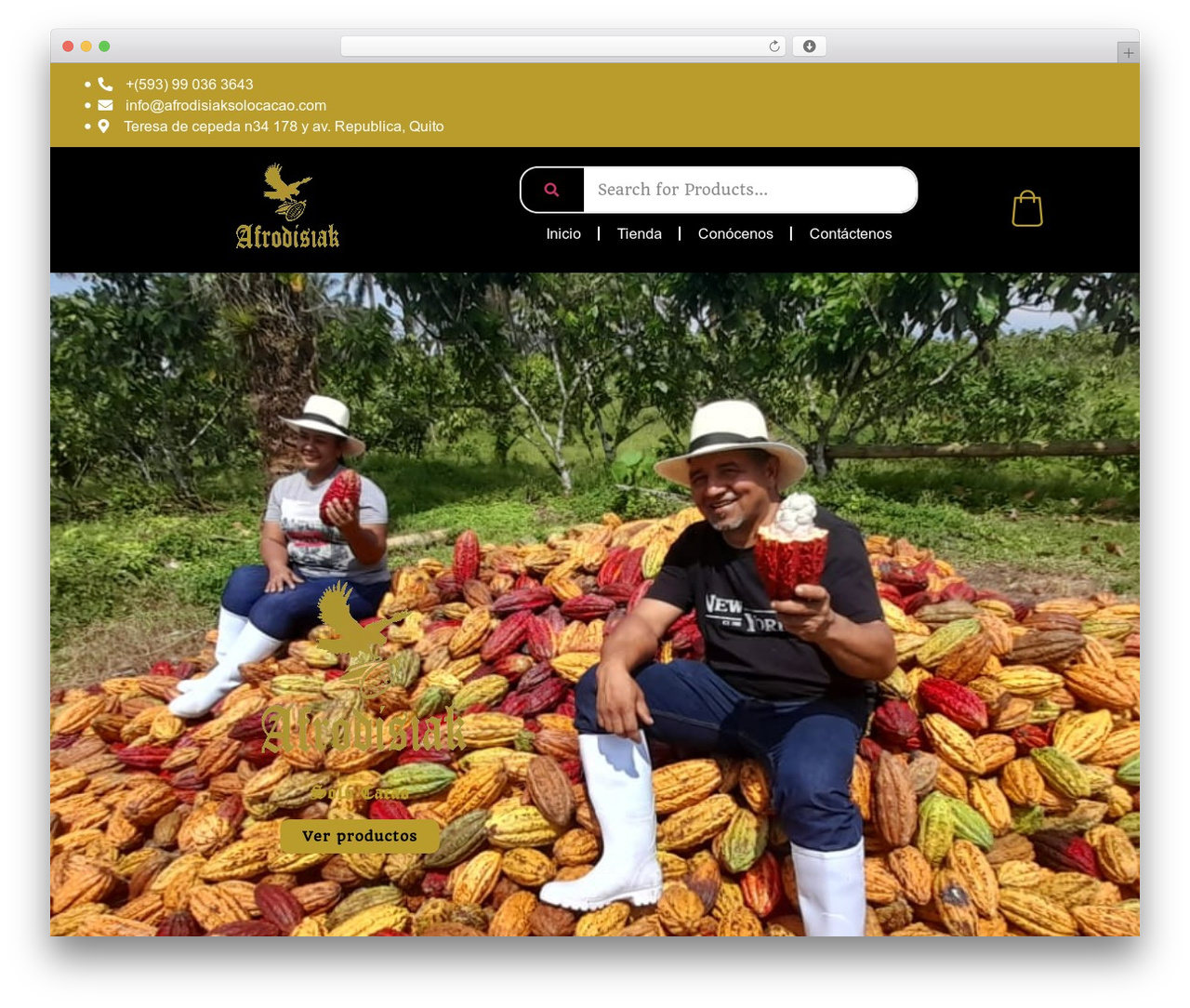 Hello Elementor WordPress theme - afrodisiaksolocacao.com Hello Elementor WordPress theme - afrodisiaksolocacao.com
