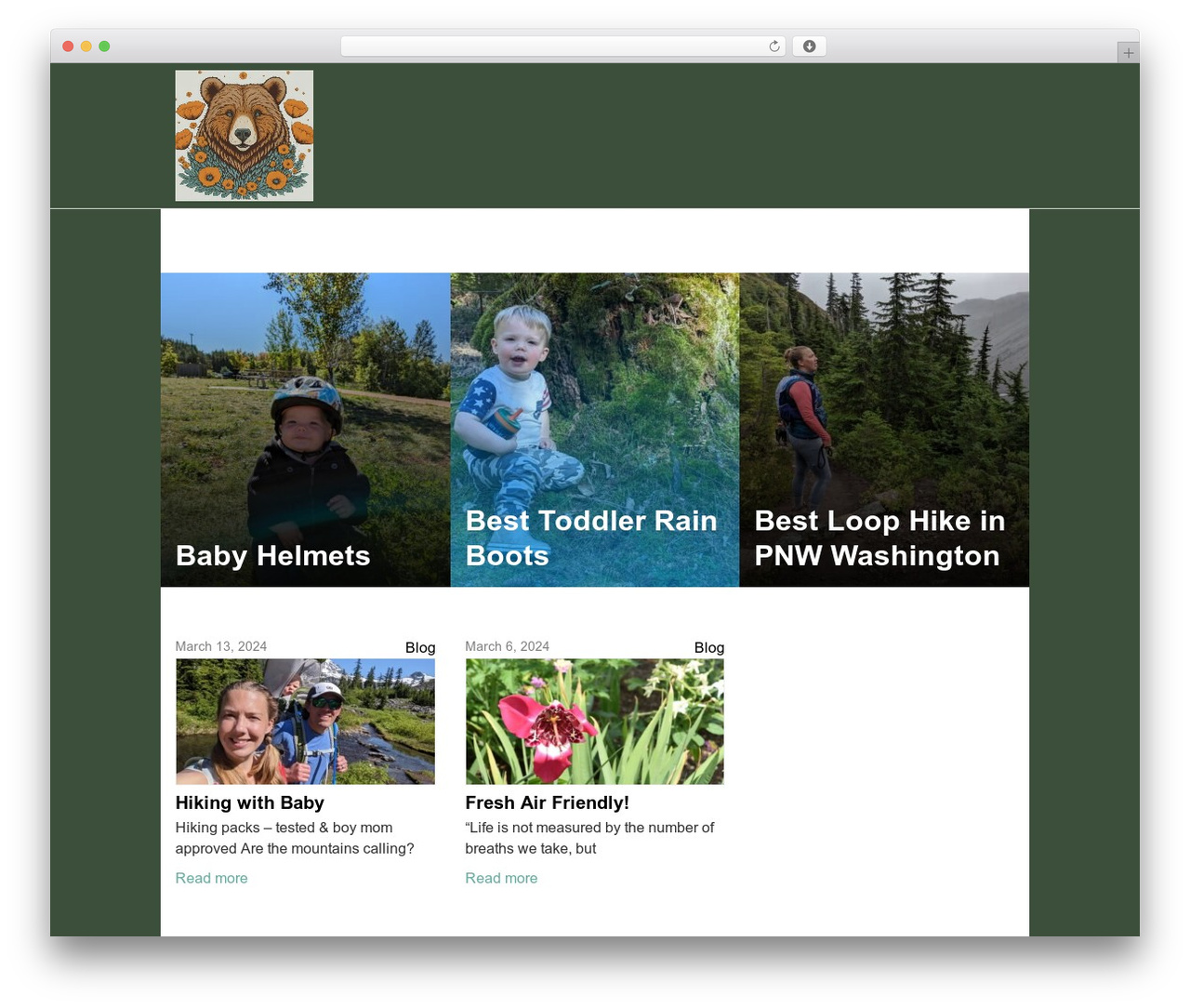 Hostinger Affiliate theme WP theme - freshairbear.com Hostinger Affiliate theme WP theme - freshairbear.com
