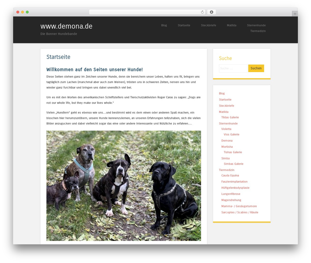 Superhero theme WordPress - demona.de Superhero theme WordPress - demona.de
