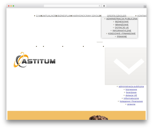 Advanced custom post type WordPress plugin - astitum.pl