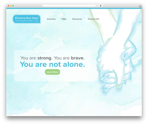 WordPress theme CMDS Online Theme - econtracares.com