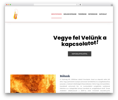 Blo essential WordPress plugin - tuzorsegkft.hu