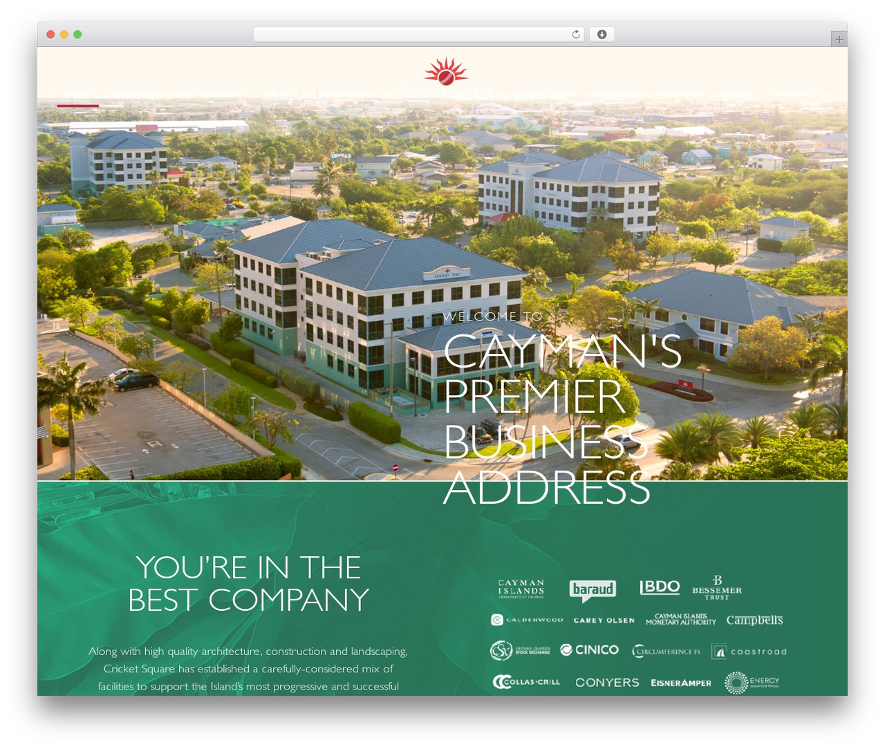 Cricket Square theme WordPress - cricketsquare.com Cricket Square theme WordPress - cricketsquare.com