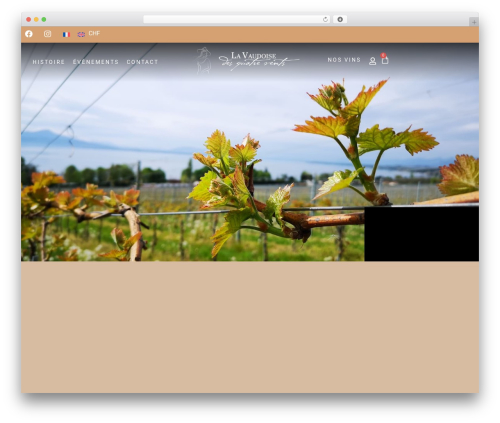 Twint woocommerce extension WordPress plugin - www.lesquatrevents.ch