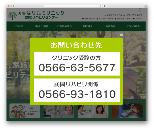 VD02 WordPress theme - narita-clinic.com