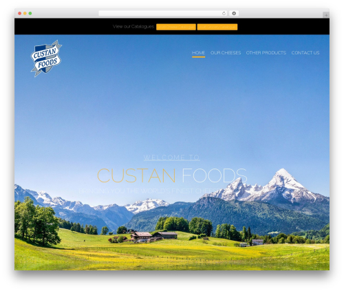 Visitors traffic real time statistics pro WordPress plugin - custanfoods.com