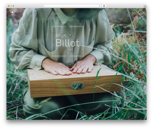 Arctic WordPress theme - monbillot.fr
