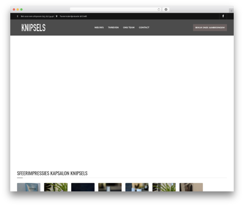 Theme WordPress Barber - Wordpress Theme - knipselsdelft.nl