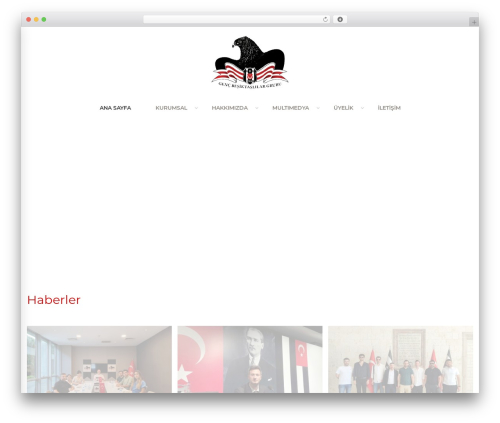 Abby WP theme - gencbesiktaslilar.net
