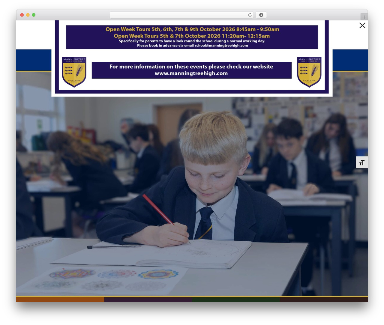 Theme WordPress Divi Child - manningtreehigh.com