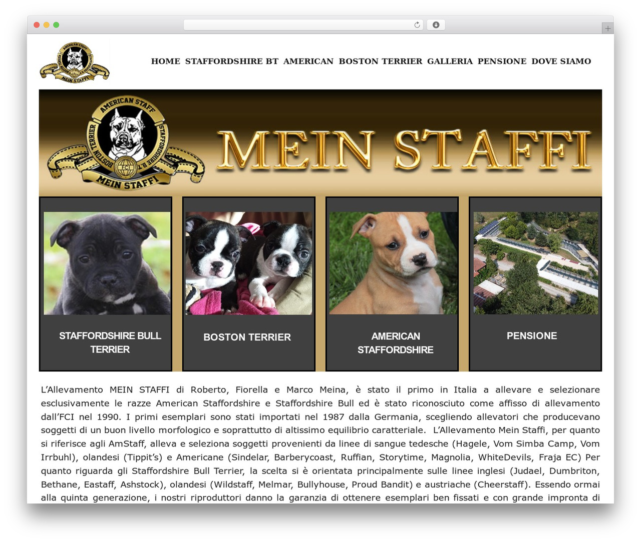 WordPress theme new2016 - meinstaffi.it WordPress theme new2016 - meinstaffi.it