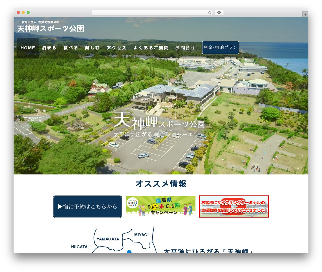 ystandard theme WordPress - naraha-tenjin.net