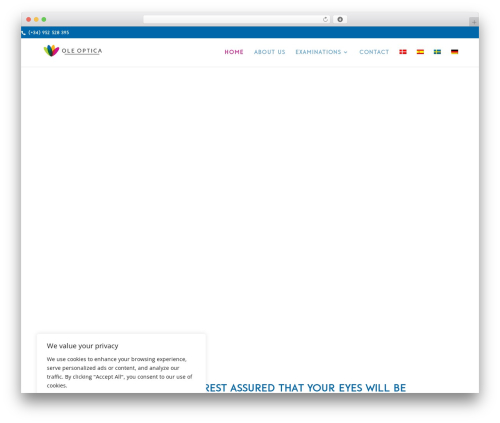 Divi nitro WordPress plugin - ole-optica.com