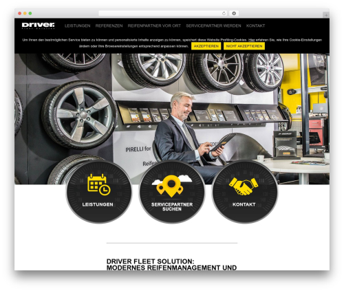 Easy tables vc WordPress plugin - driver-fleet-solution.de