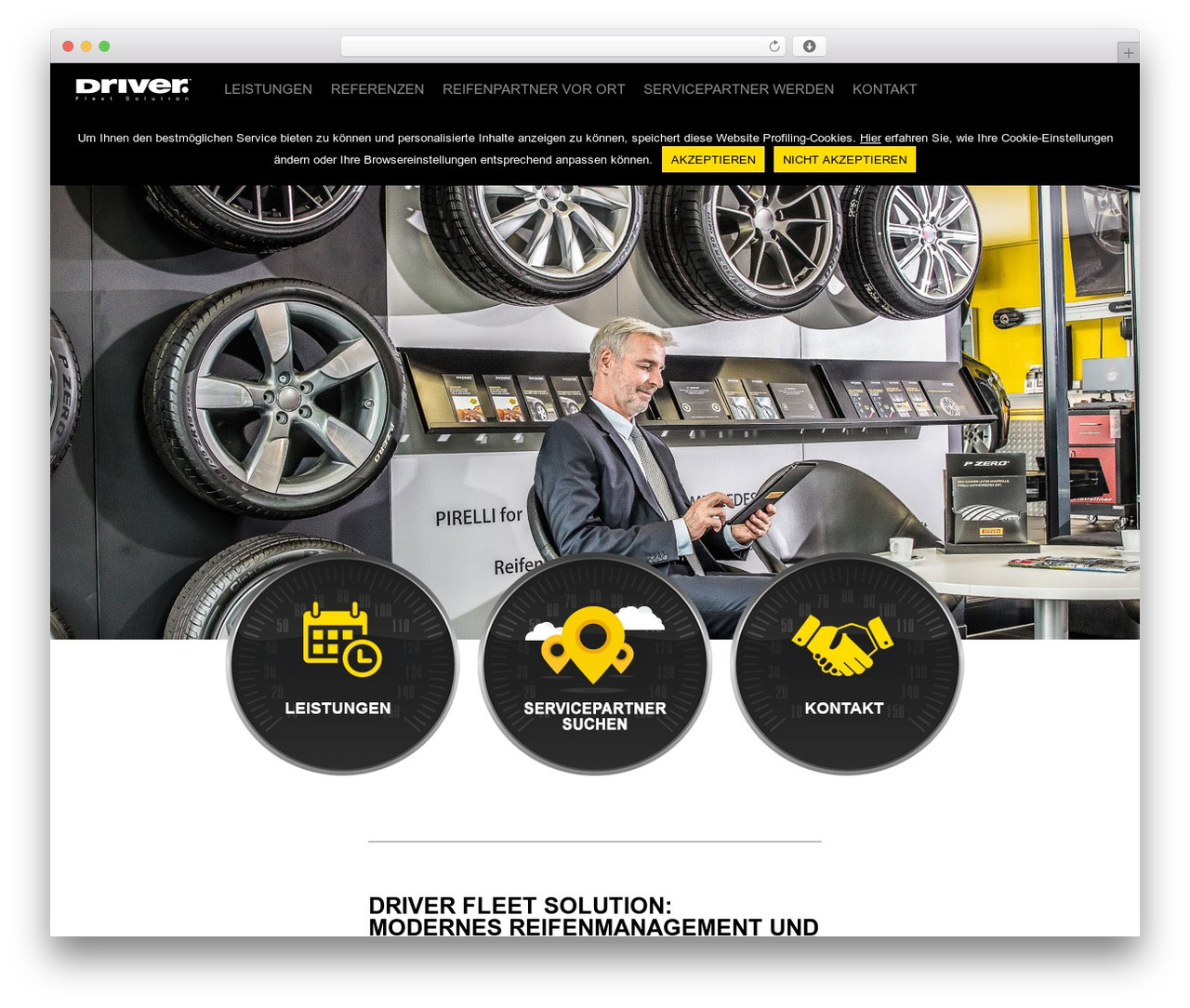 DRIVER™ Fleet Solution WordPress theme - driver-fleet-solution.de