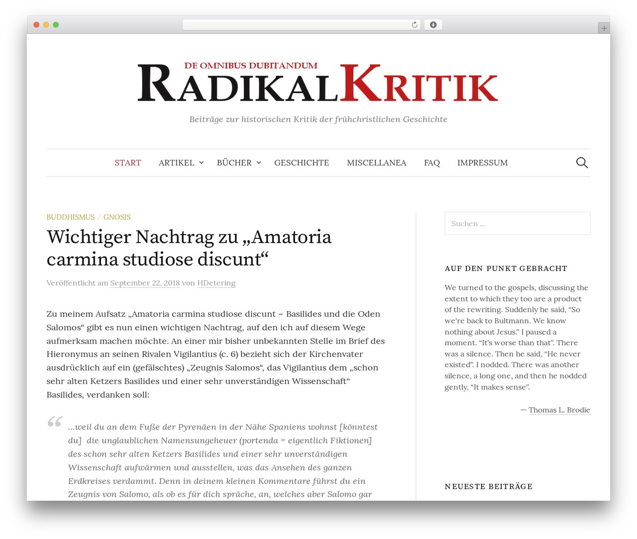 Graphy WordPress theme - radikalkritik.de