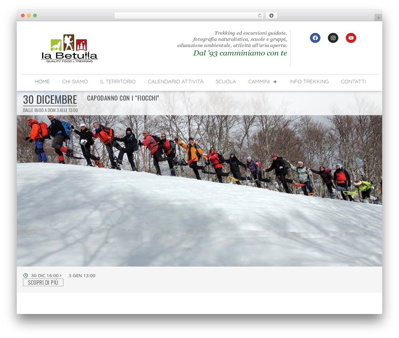 Hello Elementor top WordPress theme - labetullaonline.com