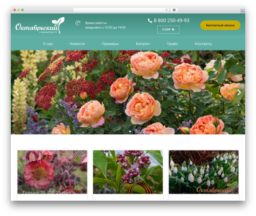 Woo product table pro WordPress plugin - oct32.ru