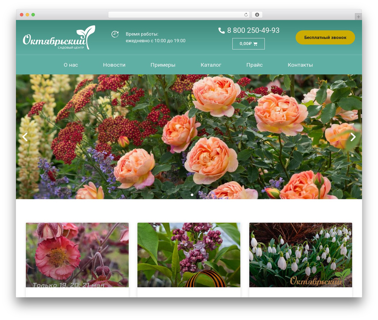 Hello Elementor WordPress theme - oct32.ru Hello Elementor WordPress theme - oct32.ru