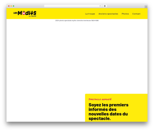 Conditional fields for elementor form pro WordPress plugin - lesmodits.ch
