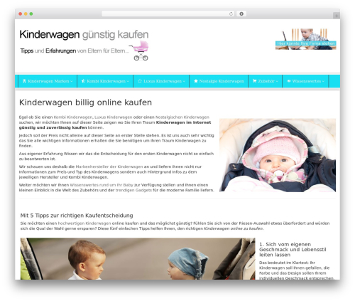 WordPress theme Affiliate-Theme - kinderwagen-billig-kaufen.de