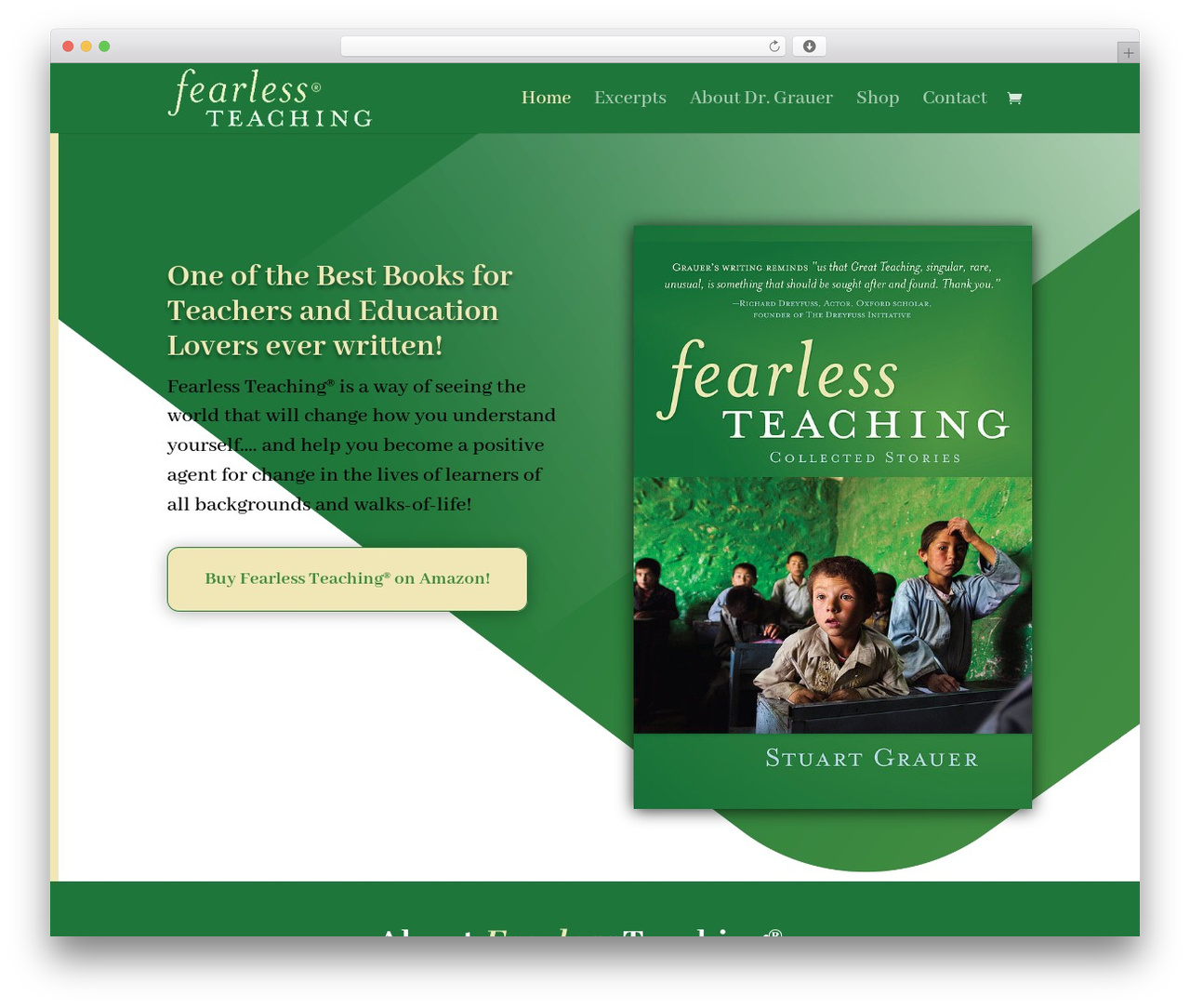 WordPress theme Divi - fearlessteaching.com WordPress theme Divi - fearlessteaching.com