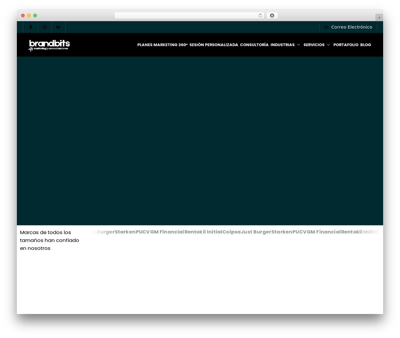 WordPress theme FinPath - brandbits.cl