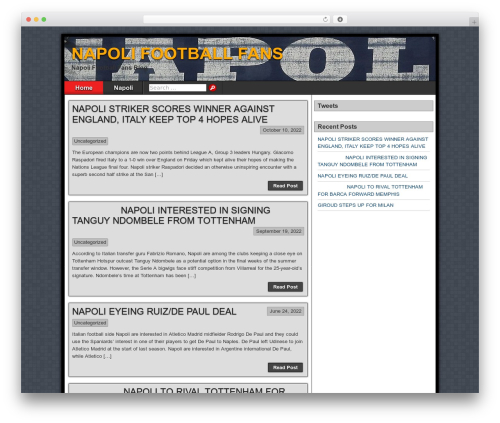 Asteroid theme WordPress - napolifootballfans.info