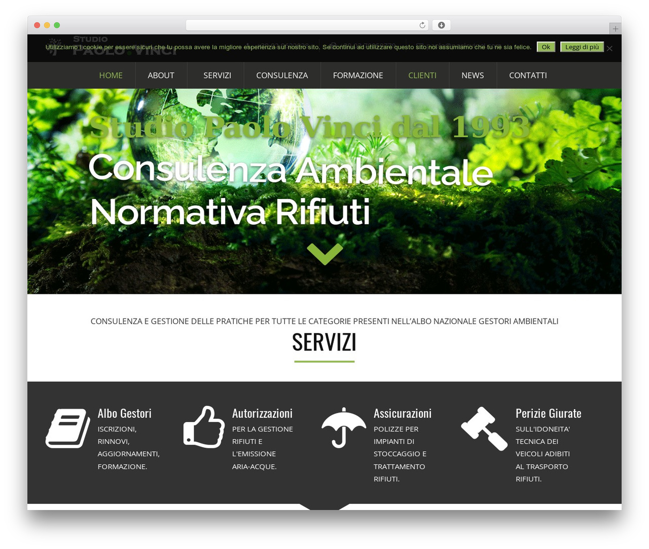 Ecorecycle Child WordPress theme - paolovinci.com Ecorecycle Child WordPress theme - paolovinci.com
