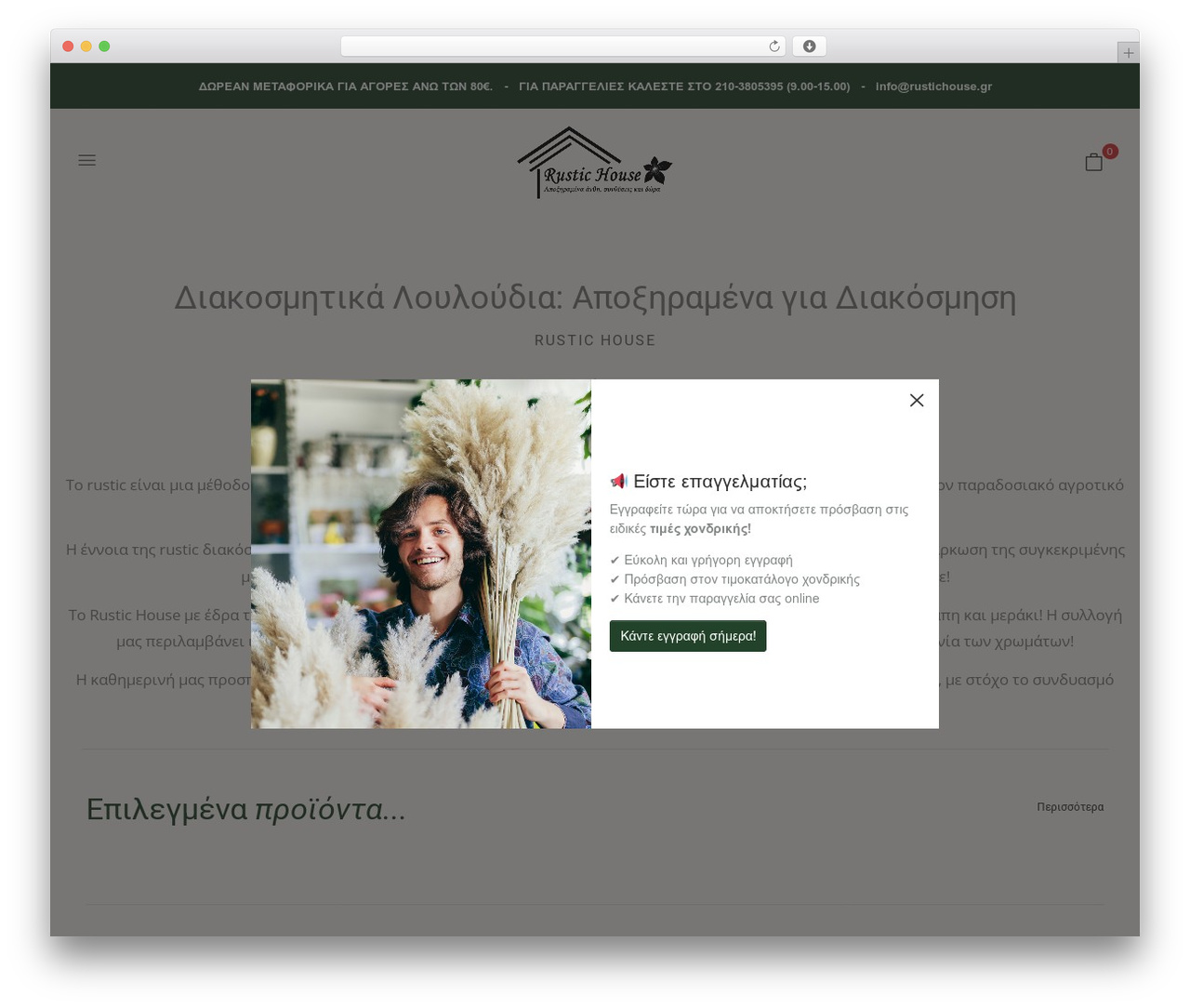 Flacio WordPress theme - rustichouse.gr