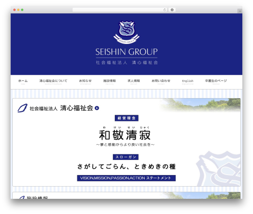 NextScripts: Social Networks Auto-Poster (social-networks-auto-poster-facebook-twitter-g) free WordPress plugin - seishin.biz