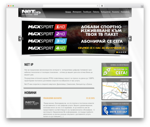 NetIP theme WordPress - netip.bg